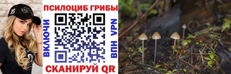 Галлюциногенные грибы Magic Shrooms Темников
